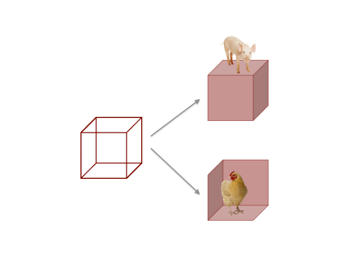 The cube on the right is a 2D representation of a 3D object. Our brain can interpret it in different ways, incompatible with each other.